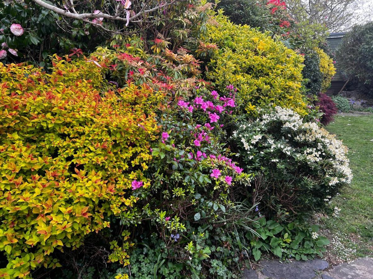 Holiday home Beautiful Near Harlech With Ocean Views Llanfair