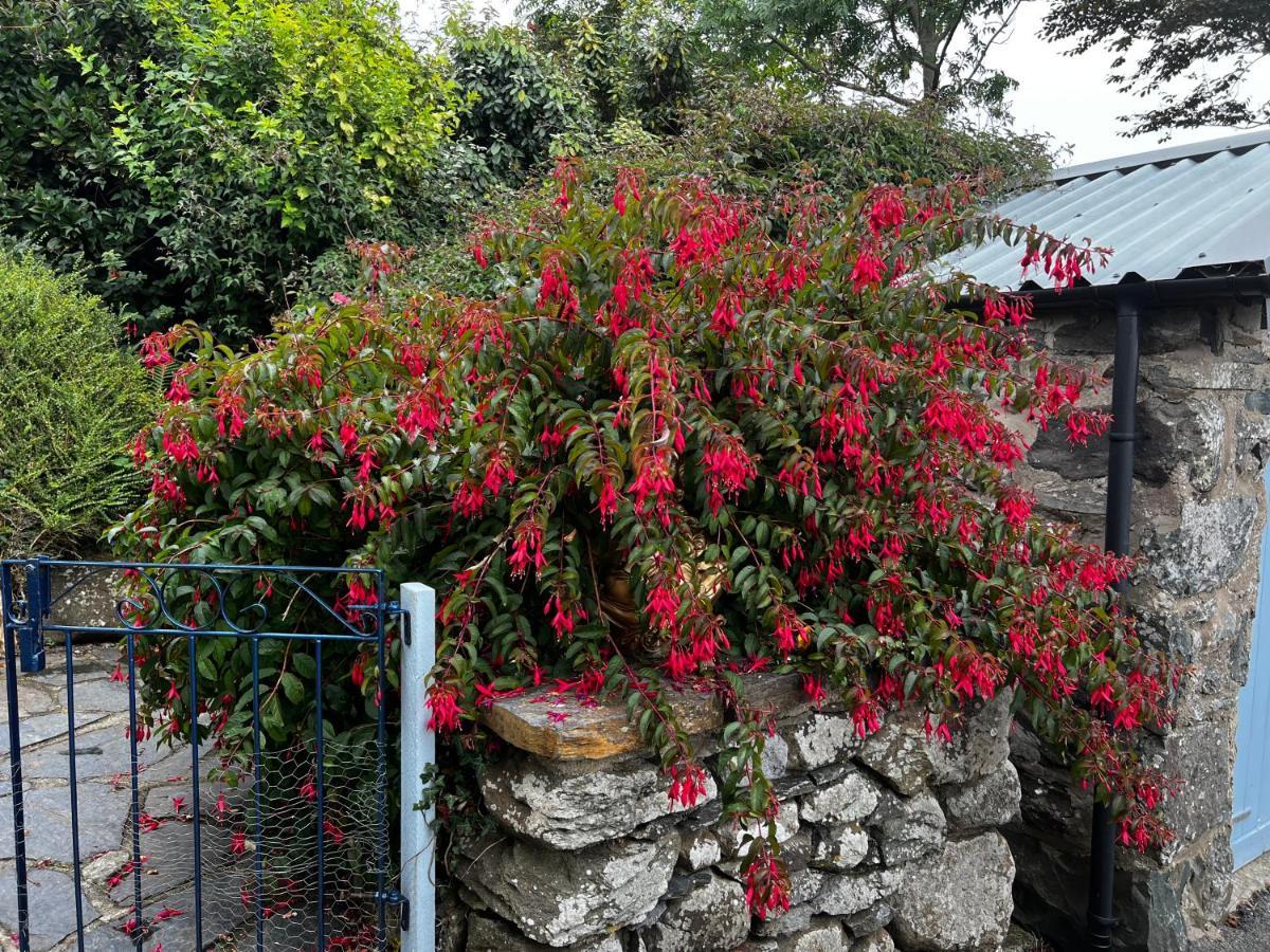 Beautiful Near Harlech With Ocean Views Holiday home
